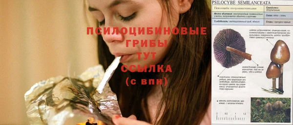 стафф Беломорск
