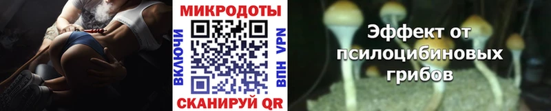 ссылка на мегу tor  Краснознаменск  маркетплейс состав  что такое наркотик  Галлюциногенные грибы Psilocybe 